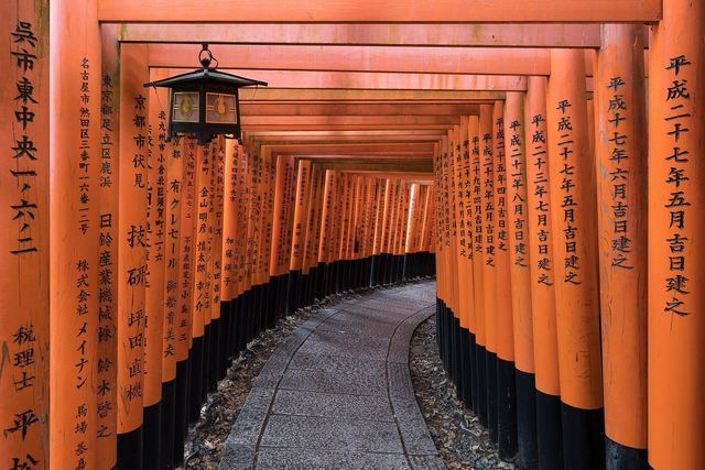 Fushimi Inari Tapınağı’nın torii yolu, Kyoto